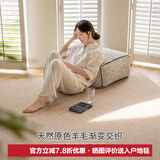 东升100%新西兰羊毛无胶水无甲醛抗菌防螨客厅卧室环保地毯可定制尺寸 澜品 3.4m*2.4m 1件