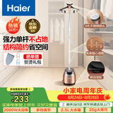 海尔（Haier）立式挂烫机35g蒸汽量2.5L水箱家用大功率手持蒸汽衣物护理机服装店高温杀菌烫衣机熨斗HGS-2510B
