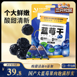 三只松鼠每日蓝莓干500g 蜜饯果干酸甜休闲零食下午茶孕妇儿童健康零食