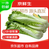 京鲜生云南绍菜 青麻叶白菜净重5斤叶绿帮薄约3-4颗源头直发