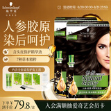 施华蔻（Schwarzkopf）怡然滋养染发霜4.0自然棕色*2 染发剂染发膏人参多次盖白补染