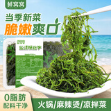 鲜窝窝 盐渍鞭炮笋250g 火锅食材马尾藻长寿菜关东煮麻辣烫凉拌下饭菜