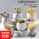 【东东农场专供】绿植盆栽大口径多肉陶瓷素烧透气粗陶手绘小花盆 大理石纹肉盆6个 【看图标注】