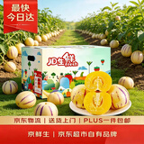 京鲜生 云南人参果 净重5斤【精选大果】单果110g起 生鲜中秋水果