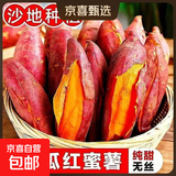现挖沙地蜜薯红薯新鲜农家糖心番薯烤地瓜软糯批发黄心包邮 西瓜红红心蜜薯5斤中大果