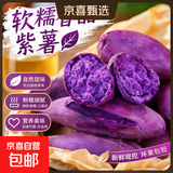 今年现挖紫薯新鲜沙地番薯辅食广西红薯宝贝自种芋头红薯山药蔬菜 新鲜沙地紫薯 带箱8斤 中大果3两起