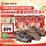 晓芹大连即食海参3斤35-50只  辽刺参 海鲜水产 中秋礼品