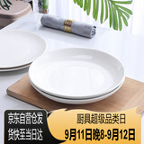 泰鑫兴10英寸（26cm）2只装 陶瓷釉下彩白瓷盘子菜盘果盘家用深盘