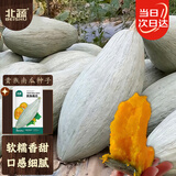 北蔬 南瓜种子苗新疆金丝栗丑瓜甜糯板栗味蔬菜种籽 贵族南瓜种子20粒