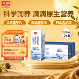 光明纯牛奶200ml*24盒优质乳蛋白营养早餐奶牛奶整箱中秋送礼京东自营