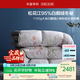 水星家纺羽绒被95%白鹅绒被子冬季加厚冬被芯双人羽绒被220cm×240cm1100g