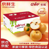 京鲜生 长城羊脂秋月梨 净重10斤装 单果250g+ 应季中秋水果