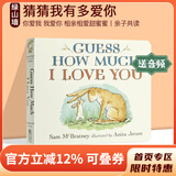 英文原版 Guess How Much I Love You 猜猜我有多爱你 儿童启蒙学习纸板书 廖彩杏书单 亲子教育互动学习绘本 绿山墙