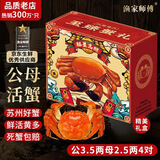 【活蟹】漁家师傅大闸蟹公3.5-3.8两母2.5-2.8两4对8只鲜活螃蟹现货生鲜礼盒中秋送礼