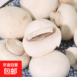 京喜加基地直发山东口蘑新鲜口蘑现摘现发双孢菇白蘑菇时令蔬菜坏果包赔 人工甄选现摘现发 净重2000g泡沫箱加冰块保鲜发货