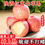 京愿陕西红富士苹果水果脆甜丑苹果平果新鲜水果生鲜 5斤 【品质装】| 净重4.5斤