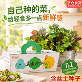 IAM City Farmer盆栽蔬菜DIY种植趣味盆栽阳台种植可食用果蔬种子工位种菜10101