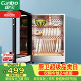 康宝（Canbo）消毒柜迷你 高温二星级 家用 小型 台式 碗筷婴儿奶瓶烘干收纳餐具 消毒碗柜【政府补贴】XDR60-BW
