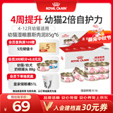 皇家 幼猫湿粮罐头KLC 通用粮 4-12月 慕斯肉泥85g*6【礼盒装】