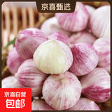 云南紫皮独头蒜干蒜果经3.0mm+ 大果直径3.0左右（净重0.9斤）