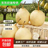 【东东农场专供】河北水果鸭梨皮薄肉嫩当季水果青皮皇冠梨 带箱3斤水晶鸭梨 净重2.55斤单果200g+