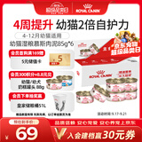 皇家 幼猫湿粮罐头KLC 通用粮 4-12月 慕斯肉泥85g*6【礼盒装】