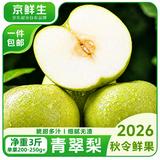 京鲜生安徽砀山青皮青翠蜜梨净重3斤 单果200-250g+新鲜水果 源头直发