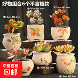 【东东农场专供】绿植盆栽大口径多肉陶瓷素烧透气粗陶手绘小花盆 好物组合6个 【看图标注】