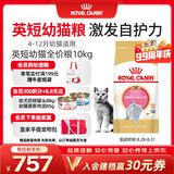 皇家猫粮 英短幼猫粮 BSK38 4-12月 10KG