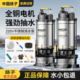 扬子潜水泵家用井水抽水泵220V不锈钢农用污水泵灌溉浇菜大流量高扬程 不锈钢清水750W-1寸【10米线-10米水带】