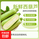 【京东配送】山东新鲜西葫芦角瓜农家自种三月瓜茭瓜现摘现发 净重 5.7斤 带箱6斤