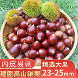 中鲜生2026年福建建瓯新鲜锥栗 生板栗 当季新鲜栗子现摘高山圆板栗 精选大果 3斤 果径【2.3-2.5cm】（推荐）