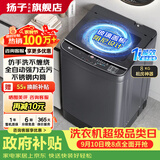 扬子【政府补贴15%】洗衣机全自动一级能效 家用大容量洗烘一体波轮 以旧换新出租房宿舍神器 8KG单人优选【一级能效+蓝光抑菌风干】 波轮