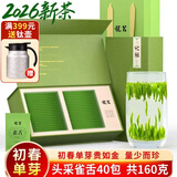 龍茗2026年新茶特级雀舌明前绿茶锁小袋茶叶礼盒40袋*4克