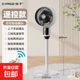 扬子（YANGZI）电风扇家用落地扇空气循环扇节能制冷宿舍卧室办公室冷风扇大风力摇头台立两用节能 【遥控触屏+左右摇头】-升级圆头款