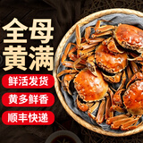 【活蟹】网兜蟹六月黄鲜活小螃蟹净重足重淡水大闸蟹公母河蟹 全母五元蟹[0.8-1.1两]10只+2只备损
