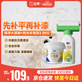 立邦墙面修复补墙膏荷净补墙漆防水防霉抗菌腻子膏白色 500g+2.5kg