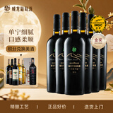 威龙沙漠奇迹干红葡萄酒750ml*6瓶整箱甘肃国产红酒中秋送礼礼品