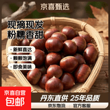 【秋果之王】26年丹东新鲜板栗现摘现发粉糯香甜蔬菜水果 丹东板栗 3斤