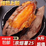 现挖烟薯糖心红薯新鲜空气炸锅烤地瓜农家沙地红心蜜薯 精选山东烟薯 5斤 中大果（单果150g-500g）