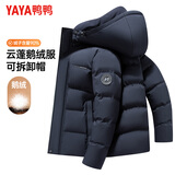 鸭鸭（YAYA）短款连帽鹅绒羽绒服男士秋冬季中青年防寒加厚保暖休闲外套26Y048