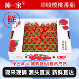 京鲜生&柿一家 串收樱桃番茄中秋礼盒2斤 自然熟鲜甜水果小柿子源头直发