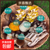 【京东空运】云南新鲜菌菇组合煲汤打边炉菌火锅炖汤蘑菇多种菌菇 七彩鲜菌组合1000g