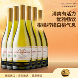 干露红魔鬼干露典藏级霞多丽干白葡萄酒750ml*6瓶整箱 智利原瓶进口红酒中秋