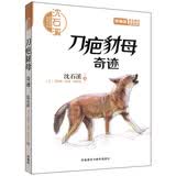 沈石溪和他喜欢的动物小说：刀疤豺母·奇迹 暑期阅读；课外阅读