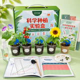 IAM City Farmer科学种植实验盒儿童 DIY 种子盆栽可食用植物观察生长记录10030
