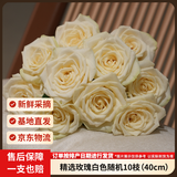 京东鲜花玫瑰花白色随机品种10枝40cm起发山东如意基地鲜切花鲜花源头直发