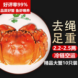 【活蟹】湖鲜阳澄 大闸蟹 去绳足重 2.2-2.5两 10只 鲜活六月黄现货超大螃蟹生鲜礼盒装