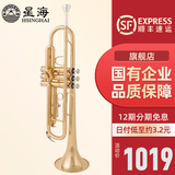 星海（XINGHAI INSTRUMENT）降b调小号乐器 XT-100/120学生考级儿童初学入门款学校乐队通用 入门款YH-521型