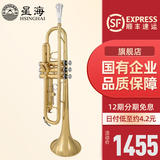 星海（XINGHAI INSTRUMENT）降b调小号乐器 XT-100/120学生考级儿童初学入门款学校乐队通用 升级XT-100型-黄铜变音管